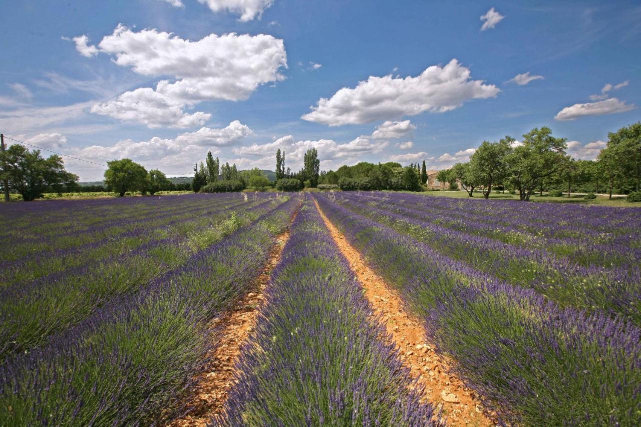 B&B Dans Mas En Pierres Robion en Luberon Exterior photo